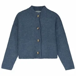 Cardigan Tricoté | Bleu