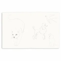 Carnet de coloriage et ses 6 crayons de couleurs | Sauge