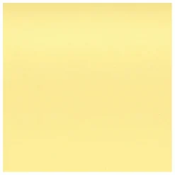 Chaise DSW plastic - piètement érable - Charles & Ray Eames | Jaune citron