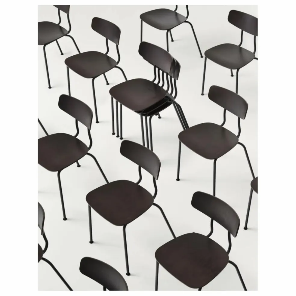 Chaise Moca - Piétement chromé - Jasper Morrison | Chêne Foncé