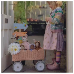 Chariot en rotin Petal | Rose pêche