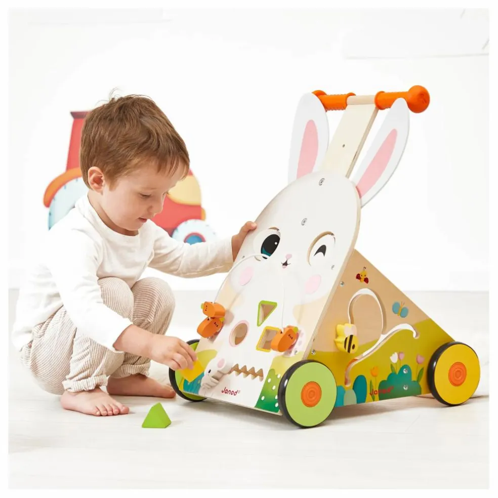 Chariot lapin