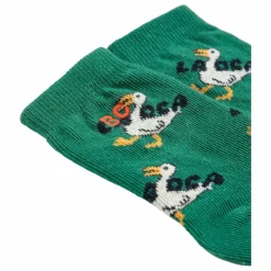 Chaussettes Canards Coton Bio | Vert