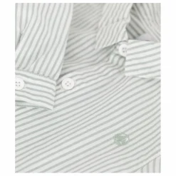 Chemise Bertrand Coton Bio | Sauge