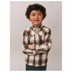 Chemise Jared Coton Emerise | Gris