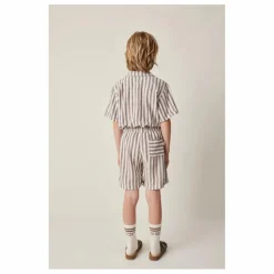 Chemise Rayures Lin | Marron