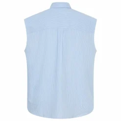 Chemise Sans Manches Laura Rayée | Bleu Clair
