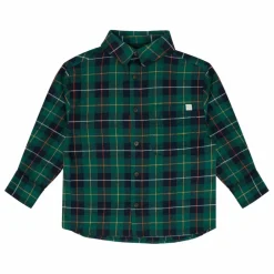 Chemise Scott Carreaux | Vert