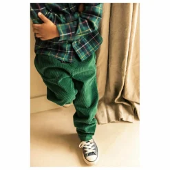 Chemise Scott Carreaux | Vert