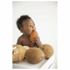 Coco la noix de coco de dentition | Blanc