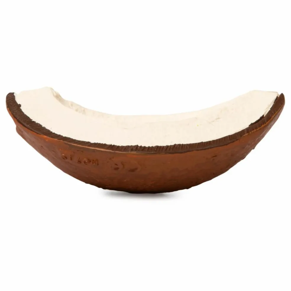 Coco la noix de coco de dentition | Blanc