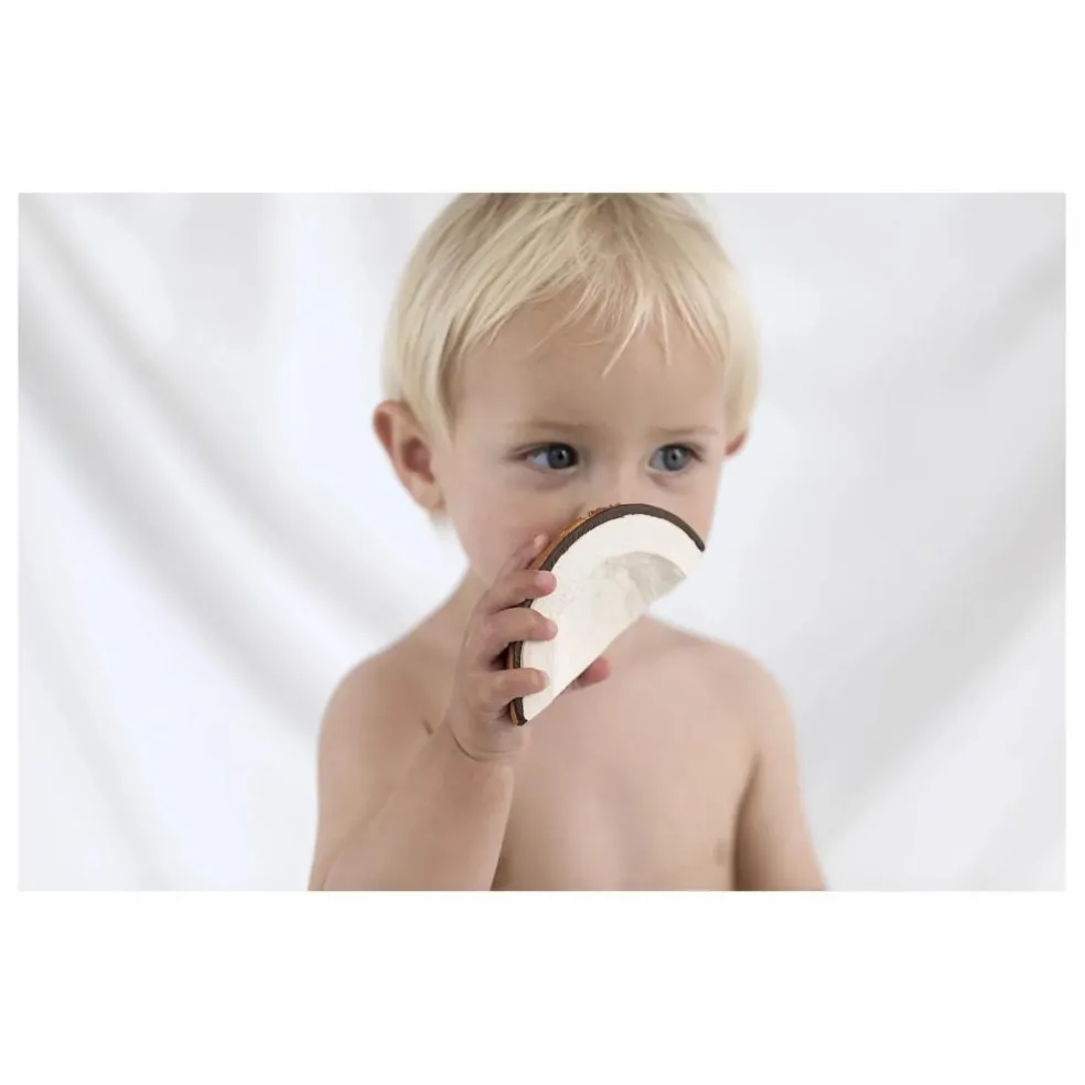 Coco la noix de coco de dentition | Blanc