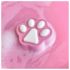 Coffret Bombes de bain Fizzers Cat's