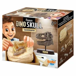 Coffret d'archéologie - Museum Dino Skull