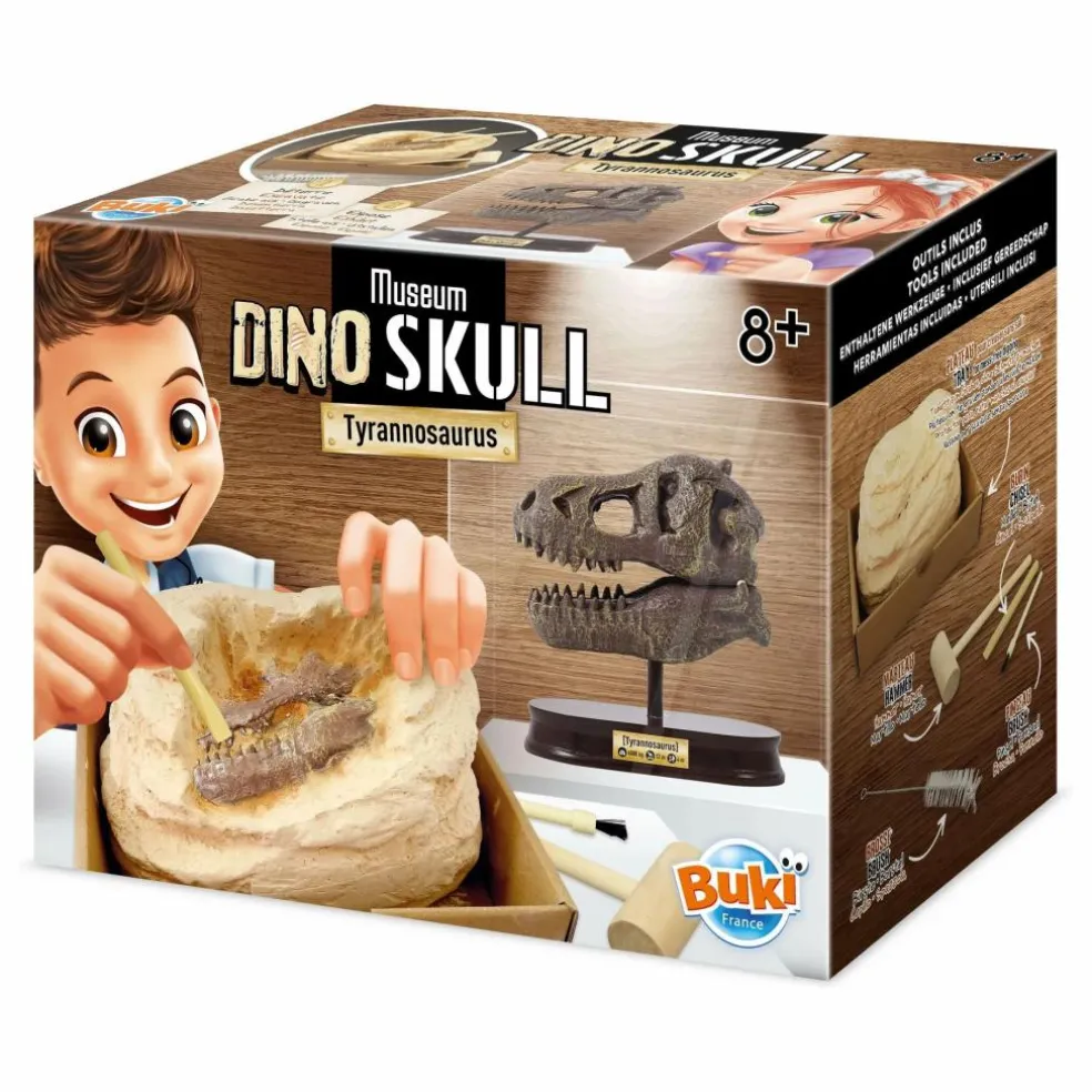 Coffret d'archéologie - Museum Dino Skull
