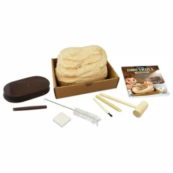 Coffret d'archéologie - Museum Dino Skull