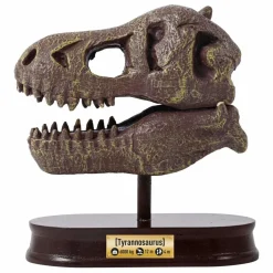 Coffret d'archéologie - Museum Dino Skull