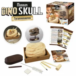 Coffret d'archéologie - Museum Dino Skull