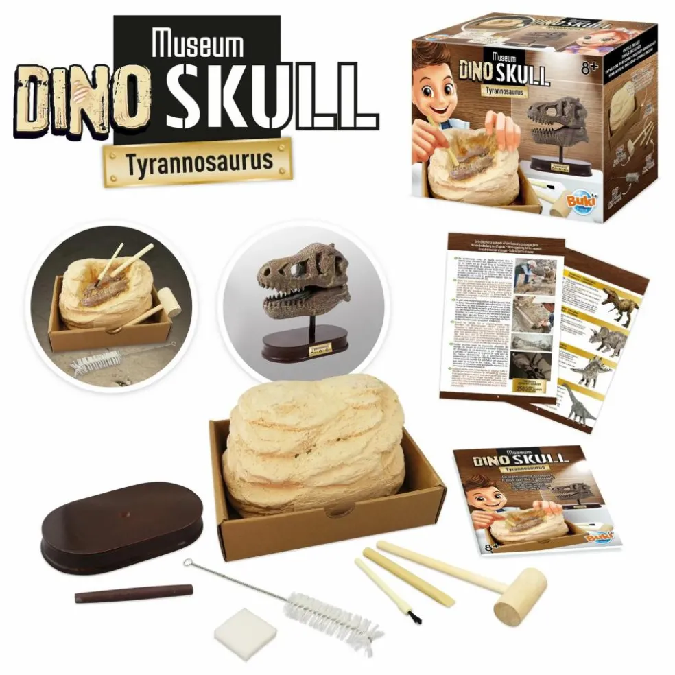 Coffret d'archéologie - Museum Dino Skull