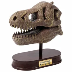Coffret d'archéologie - Museum Dino Skull