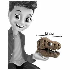 Coffret d'archéologie - Museum Dino Skull