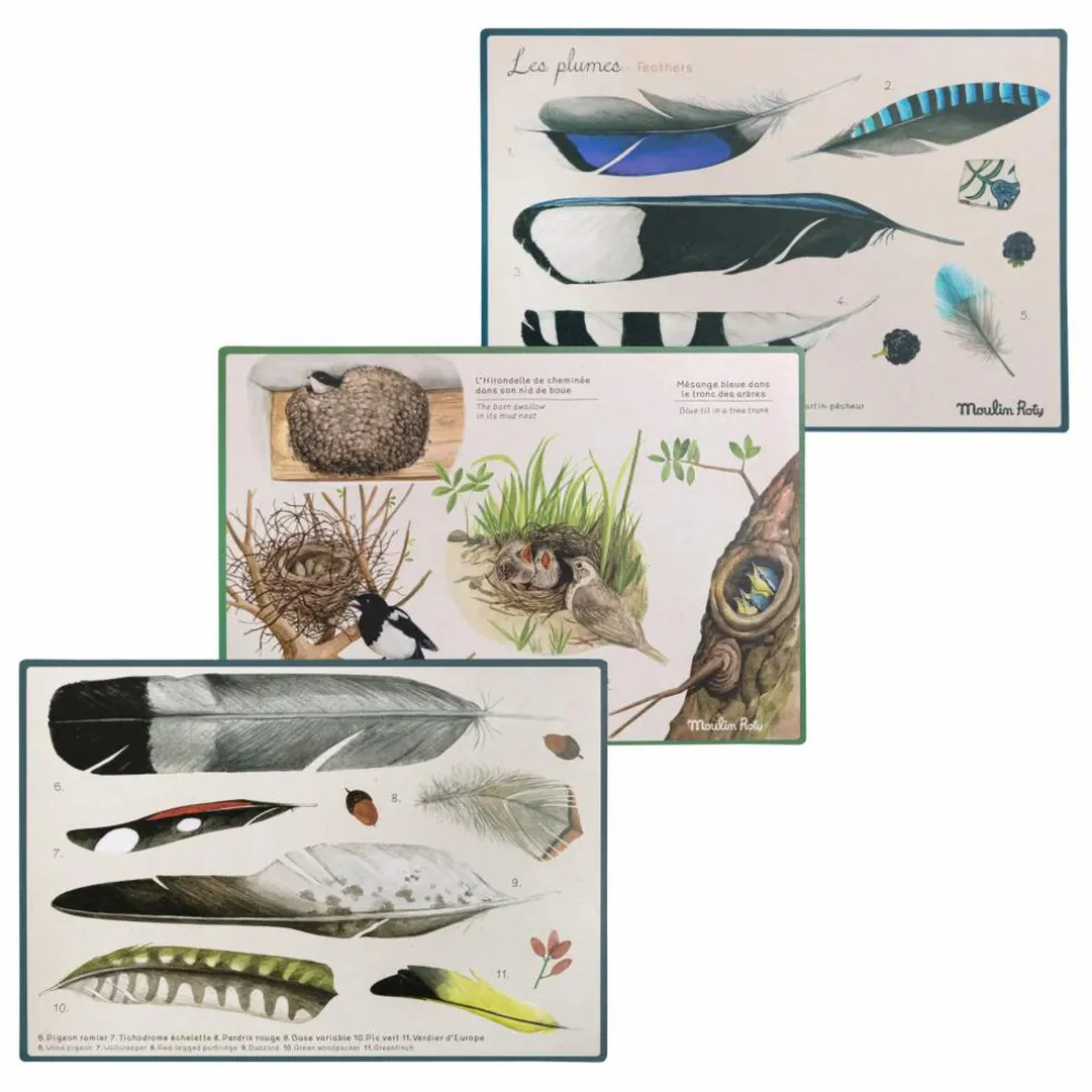 Coffret découverte des oiseaux