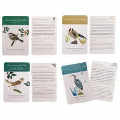Coffret découverte des oiseaux