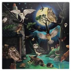 Coffret découverte des oiseaux