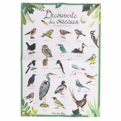 Coffret découverte des oiseaux