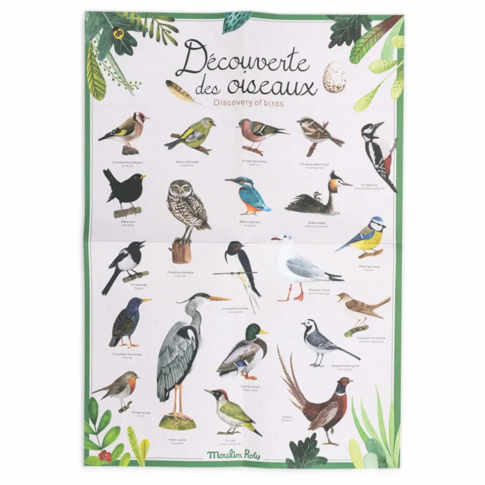 Coffret découverte des oiseaux