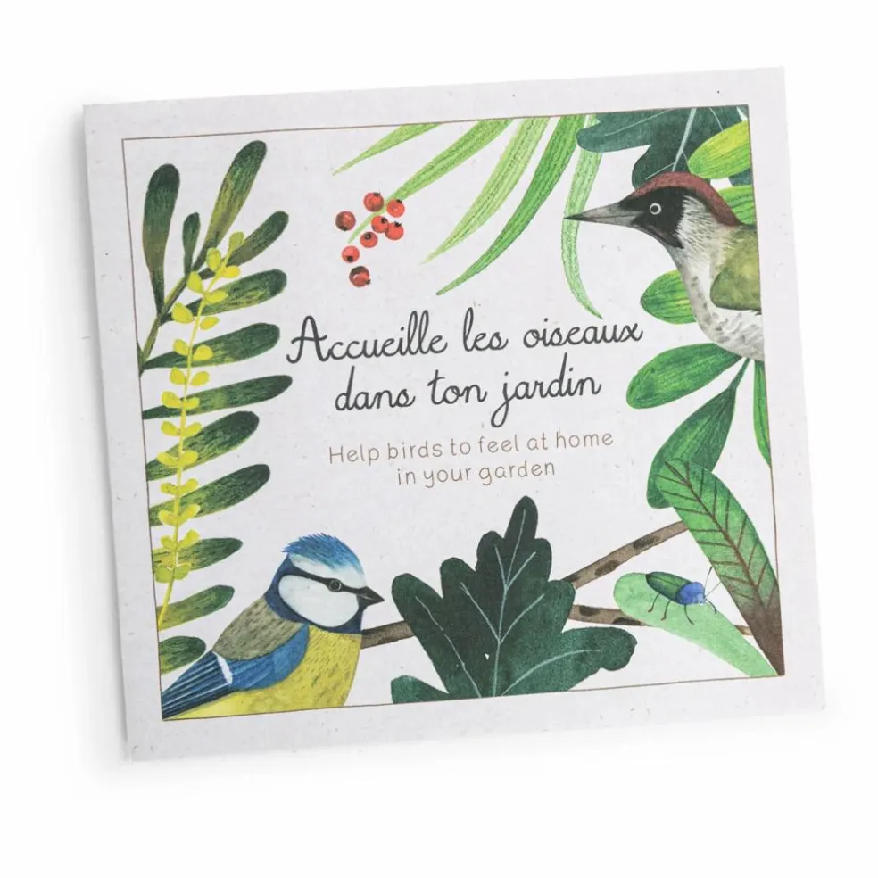 Coffret découverte des oiseaux