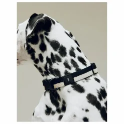 Collier | Noir