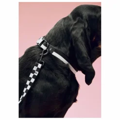 Collier | Noir
