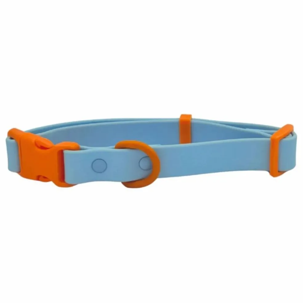 Collier pour chien | Bleu ciel