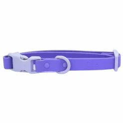 Collier pour chien | Lilas