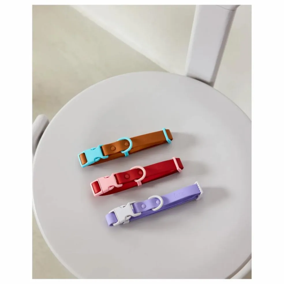 Collier pour chien | Lilas
