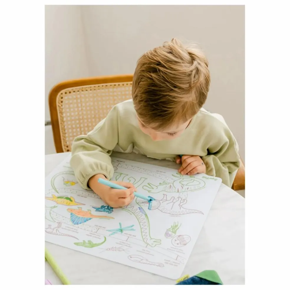 Coloriage éducatif L'âge des Dinosaures avec 3 feutres