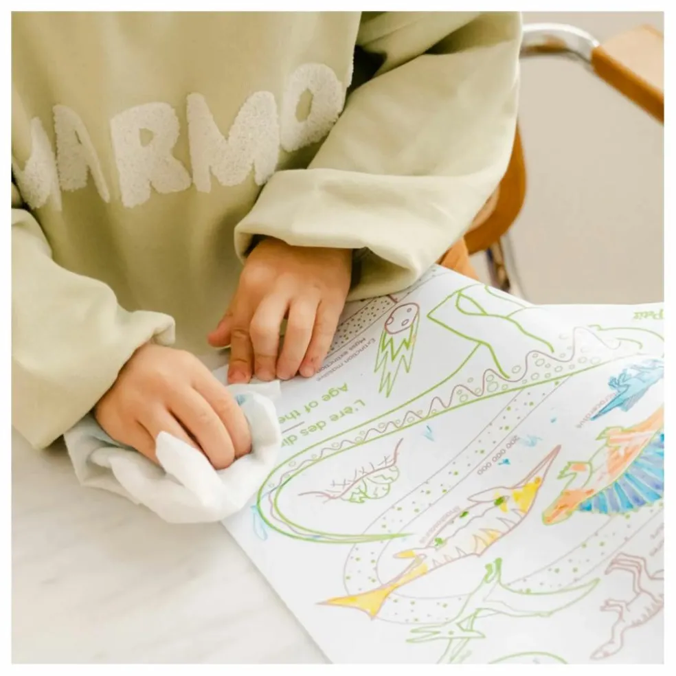 Coloriage éducatif L'âge des Dinosaures avec 3 feutres