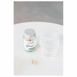Compléments alimentaires Absolu Probiotiques 360 - 28 jours | Non teinté