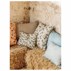 Coussin Astre | Bleu