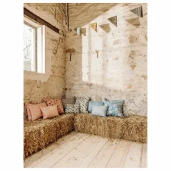 Coussin Astre | Bleu