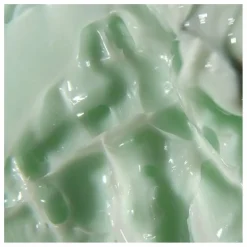Crème hydratante désaltérante Green Smoothie - 50 ml