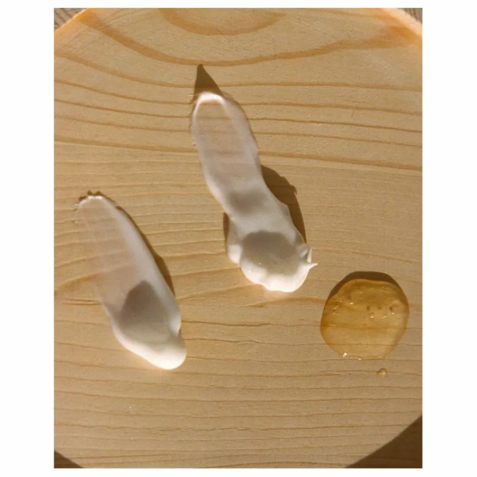 Crème mains Hinoki 305 - 70 ml