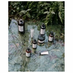 Crème mains Épicéa 221 - 30 ml