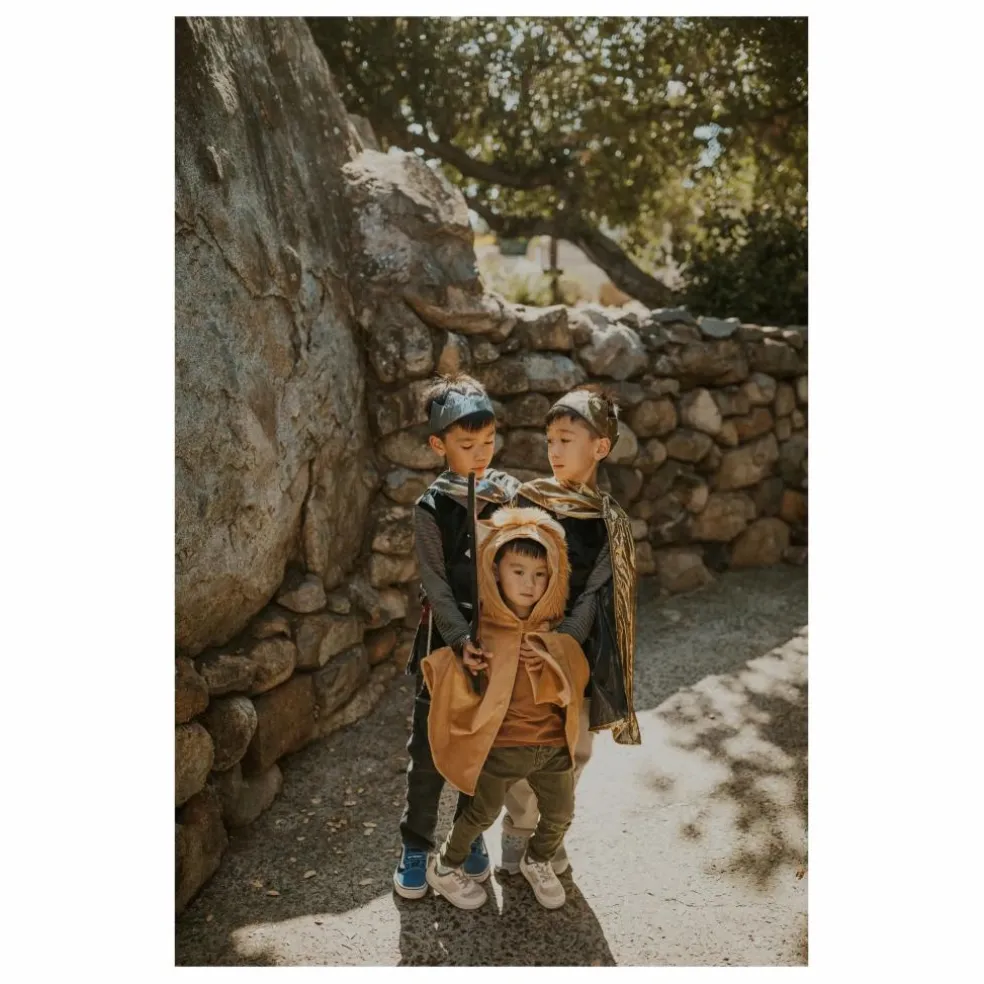 Déguisement de chevalier avec cape et couronne | Or