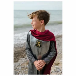 Déguisement de chevalier avec sa cape | Argenté