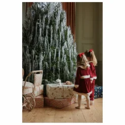 Déguisement de Noël  | Rouge