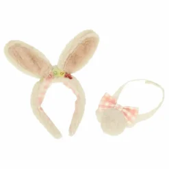 Déguisement Lapin de pâques