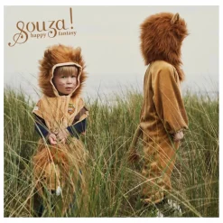 Déguisement Lion