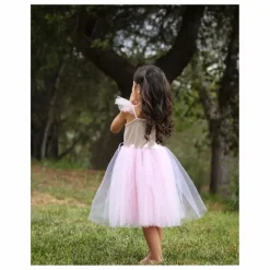Déguisement Robe de princesse